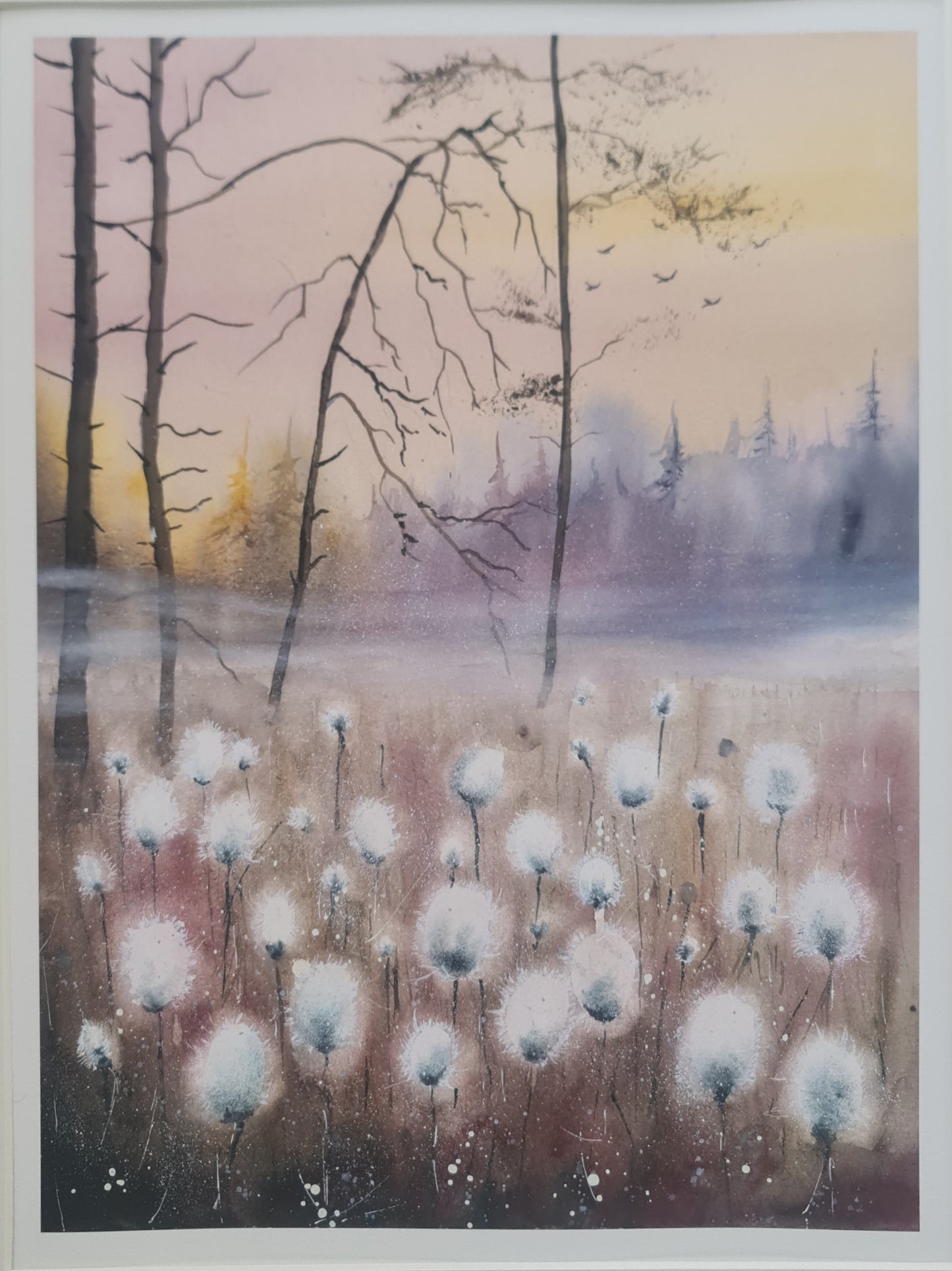 Fine Art Print "Cottongrass and Mist"