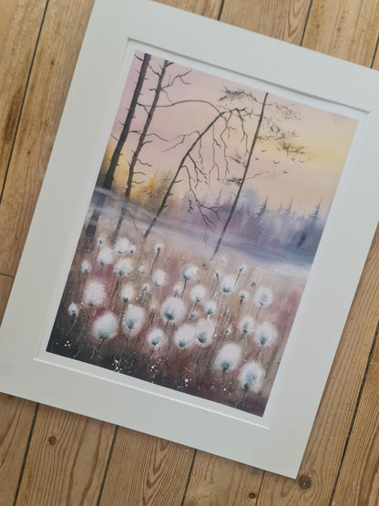 Fine Art Print "Cottongrass and Mist"