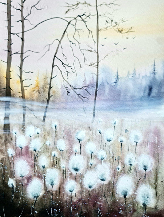 Cottongrass and Mist - 30x40 cm